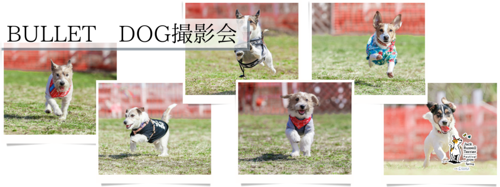 BULLET DOG撮影会@大阪北港マリーナ