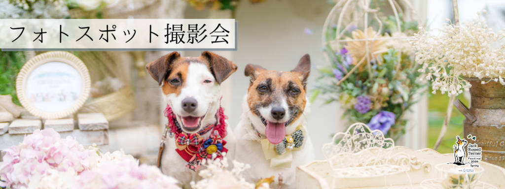 フォトスポット撮影会@大阪北港マリーナ