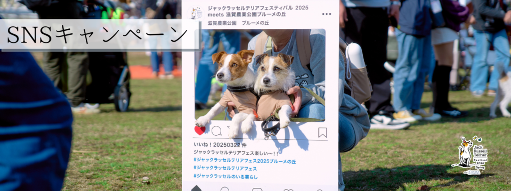 SNSキャンペーン@大阪北港マリーナ