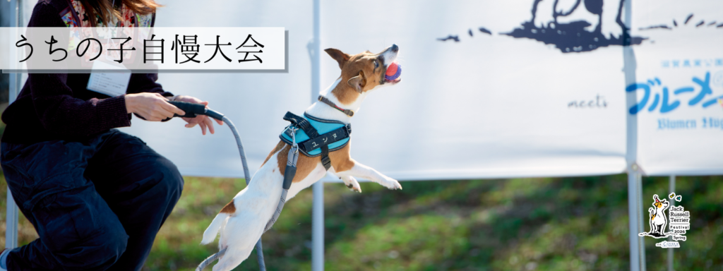 うちの子自慢大会@大阪北港マリーナ