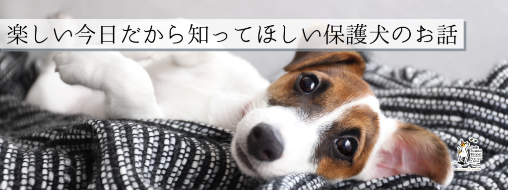 楽しい今日だから知ってほしい保護犬のお話