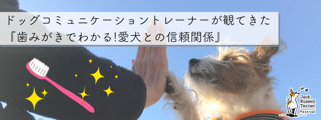 ドッグコミュニケーショントレーナーが観てきた『歯みがきでわかる!愛犬との信頼関係』