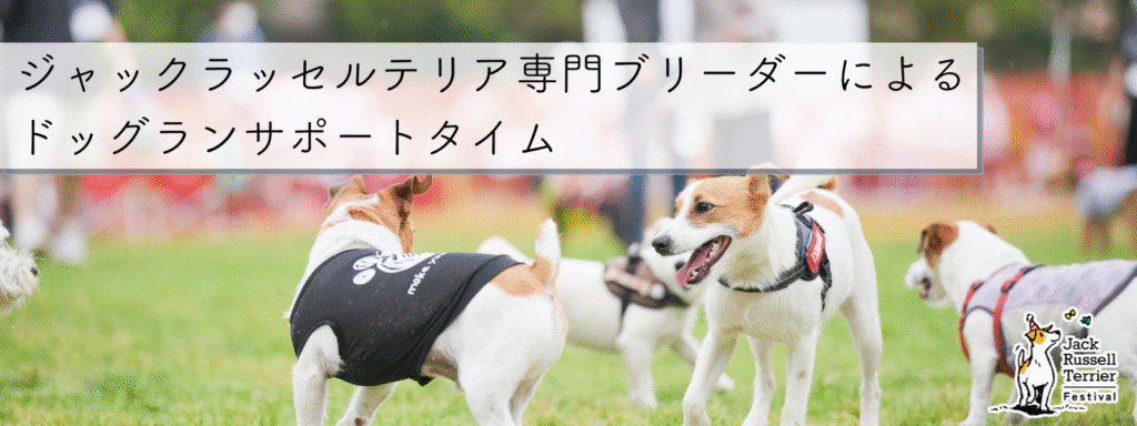 ジャックラッセルテリア専門ブリーダーによるドッグランサポートタイム