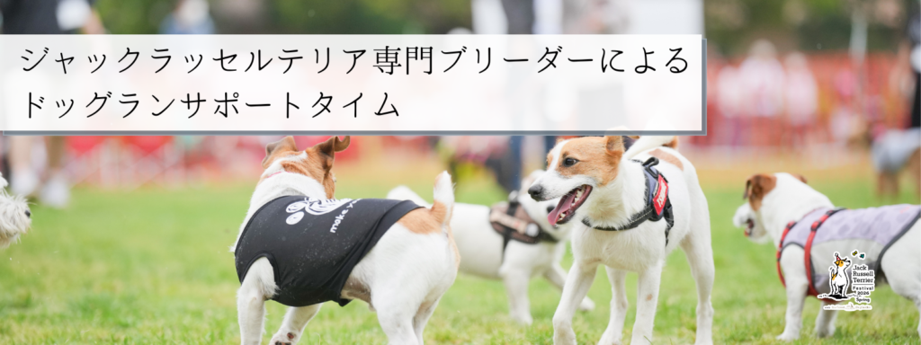 ジャックラッセルテリア専門ブリーダーによるドッグランサポートタイム