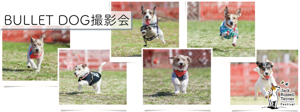 BULLET DOG撮影会