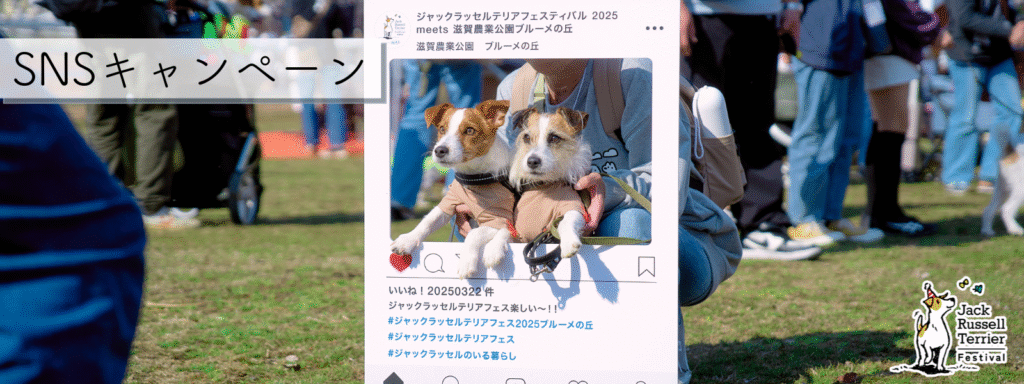 SNSキャンペーン