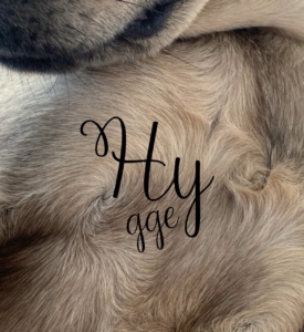 Hygge