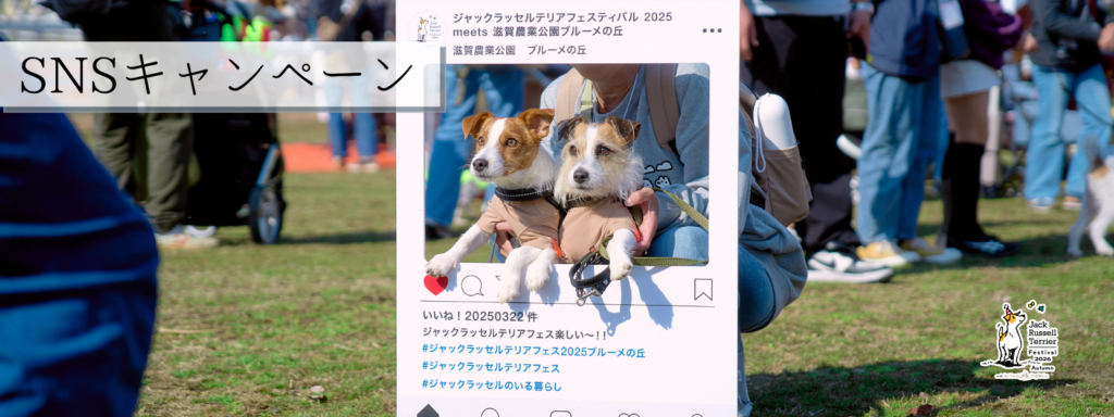 SNSキャンペーン