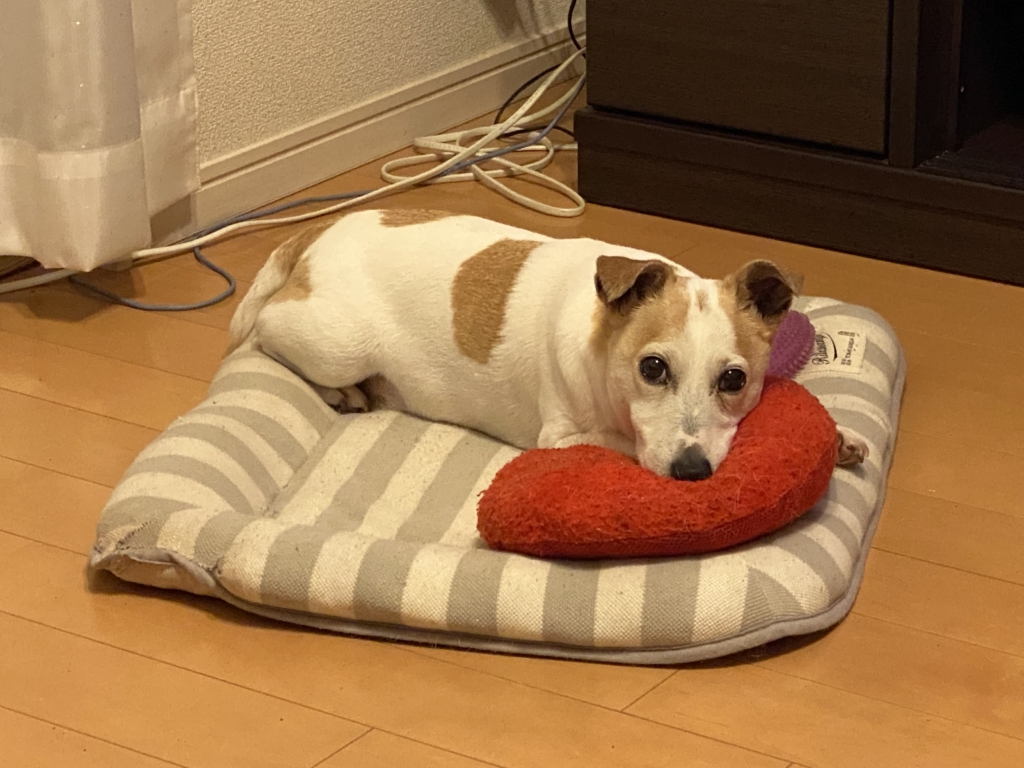 はむくん