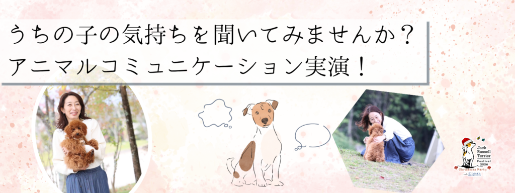 うちの子の気持ちを聞いてみませんか？アニマルコミュニケーション実演！