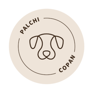 Palchicopan
